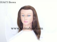 Training mannequin head/mannequin head/hair mannequin