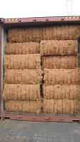Raw Natural Coco Coir High Quality Coconut Coir Fiber with the best price From Vietnam