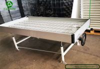 2ft(0.61m)/3ft(0.91m) wide flood rolling bench EBB and flow table for greenhouse From China