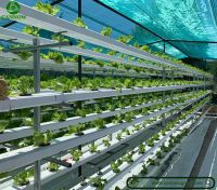 NFT hydroponic system vertical hydroponic system in greenhouse From China