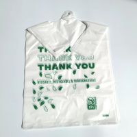 PLA shopping bag From China