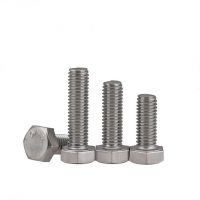 Stainless Steel Hex Bolts