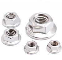 Stainless Steel Flange Nuts