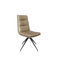 Dinning chair Y194