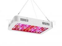 Plant Grow Light