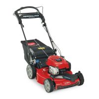 Briggs &amp; Stratton 22 In. (56cm) Recycler&Acirc;&reg; Electric Start W/Personal Pace&Acirc;&reg; Gas Lawn Mower