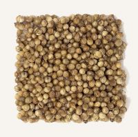 Coriander Seed