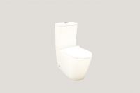 Tornado Flush Toilet