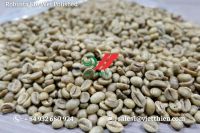 Robusta green coffee beans- wet polished quality- S18/S16/S14