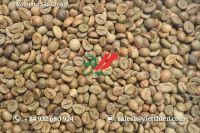 Robusta green coffee beans- clean quality- S18/S16/S14