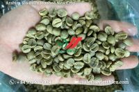 Arabica green coffee beans- fully washed quality- S18/S16/S14