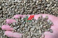 Vietnam Arabica green coffee beans - fully washed quality