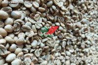 Vietnam arabica green coffee beans- Wet polished quality