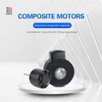 Composite Material Motor Welcome to inquire