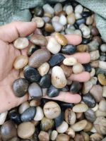 Mixed pebbles, cobblestone, landscape rocks, decorative stone for garden decoration