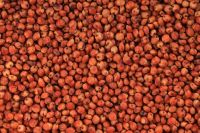 good quality red sorghum