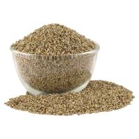 Millet/Bajra