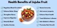 Jujube Powder