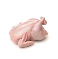 Whole Round Halal Chicken From USA