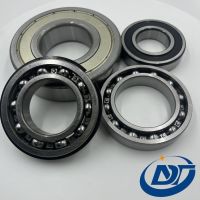 Deep Groove Ball/Self Aligning/ Thrust/Angular Contact/Ball Bearing/Taper/Cylindrical Roller/ Pillow Block/Self Aligning/Needle/Roller Bearing/Wheel Hub Bearing