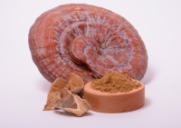 Reishi Mushroom Extract In Powder (50%polysaccharides)