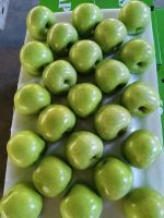 Qinguan Apple 