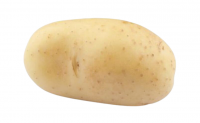 Potato Product-line