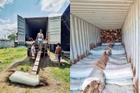 Palm Broom Stick From Indonesia