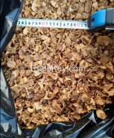 Dried Cantharellus mushrooms (Cantharellus cibarius fruit bodies)