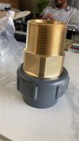 cPVC and uPVC Fittings with Brass Insert From India