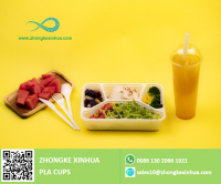 Promotional 100% biodegradable disposable 12 16 18 20 oz PLA plastic lid clear cold beer milk tea cold drink PLA custom cup