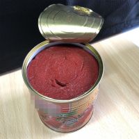 Canned Tomato Paste