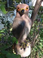 Red-tail Hawk Decoy, bird scaring hawk decoy, hawk bird repelletn