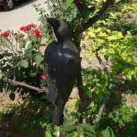 PE Crow Decoy with magnet Bird Scaring Crow Decoy   50*14*10 cm 