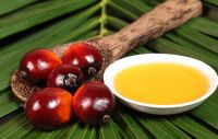 Crude palm kernel oil