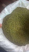 Mung Beans
