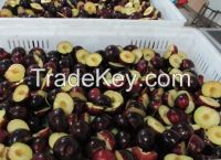 IQF plum or frozen plum