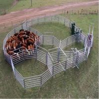 Cattle Fence &amp; Sheep Fence