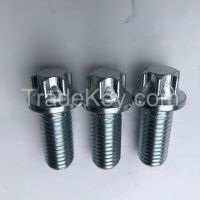 Wheel hub screw, tire screw