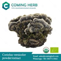 Wild Coriolus versicolor extract, Turkey tail beta glucan, Coriolus versicolor beta glucan, Coriolus versicolor powder, Turkey tail extract, Turkey tail powder, Organic Turkey tail extract, Trametes versicolor extract