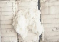 Raw Cotton Material 