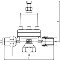 Cryogenic Pressure Regulator/Regulating Valve/Power Build Up Valve/Pressure Economizer