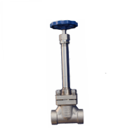 Cryogenic Globe Valve/Stop Valve