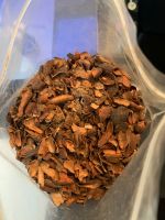 Cocoa Butter , Cocoa powder , Cocoa Mass , Cocoa Shell  From Indonesia