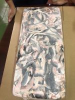 Frozen Pangasius Skin export from
