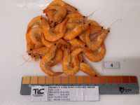 Frozen Cook PD Vannamei Shrimp from Vietnam