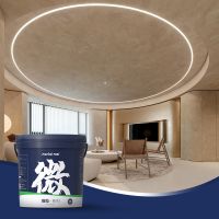 New design one go construction microcement leveling building paint for floor paint From China