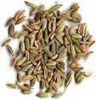 https://cn.tradekey.com/product_view/Best-Fennel-Seeds-10201983.html