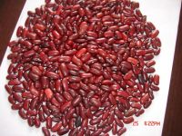 Best Red Kidney Beans