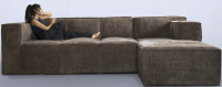 Brown Sofa